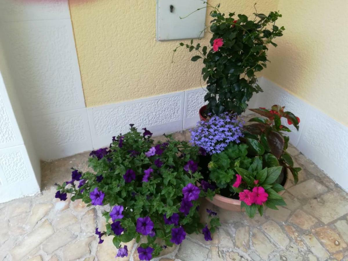 פורץ Apartment Lili מראה חיצוני תמונה