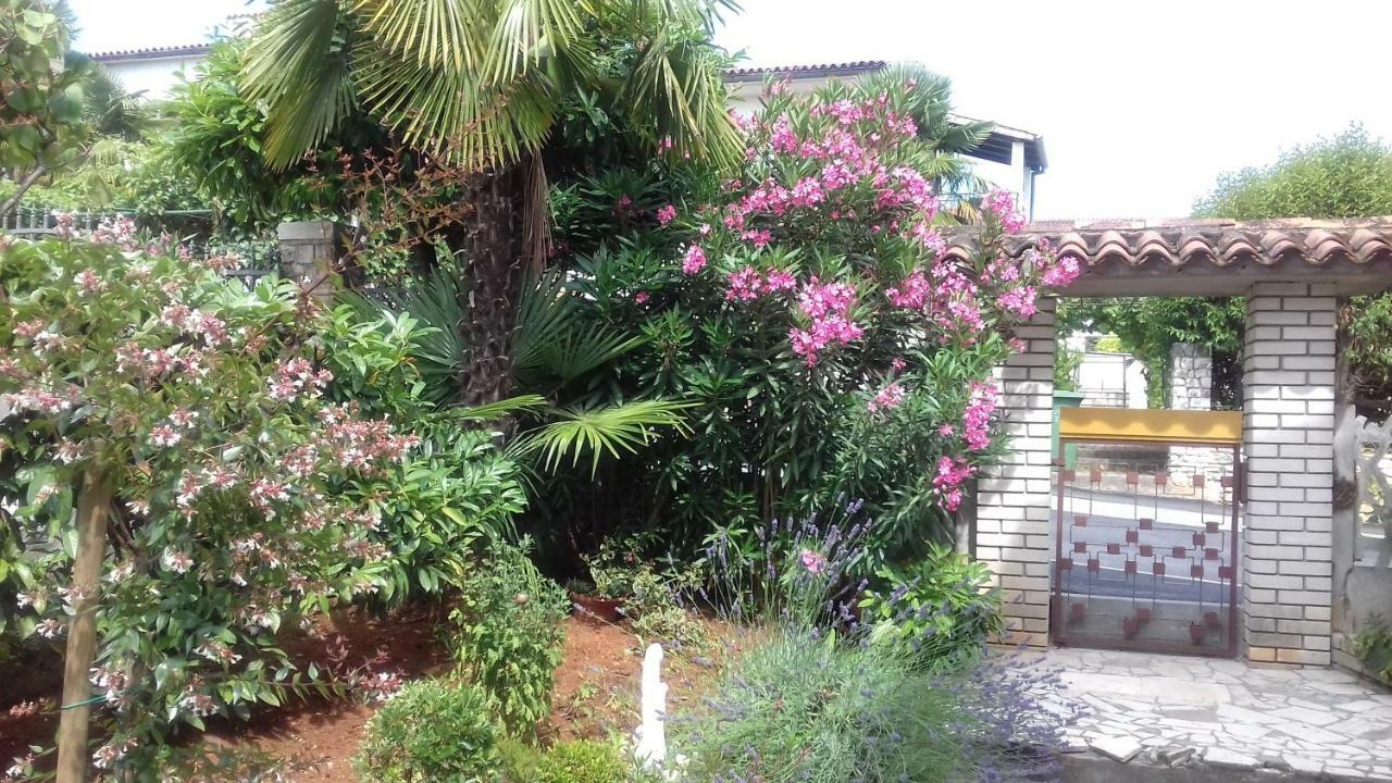 פורץ Apartment Lili מראה חיצוני תמונה